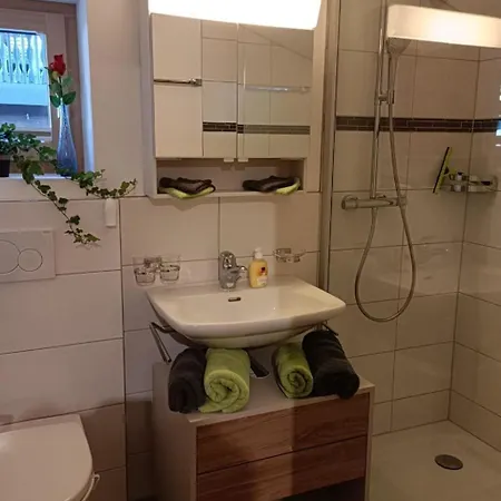 Lischa 3- Og Sued Appartement-fewo- Dusche Oder Bad- Wc By Interhome Fiesch
